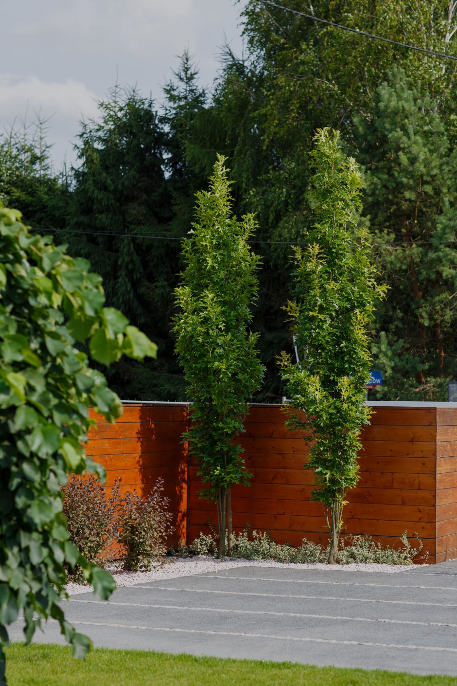 Ogród w Budziwoju 4