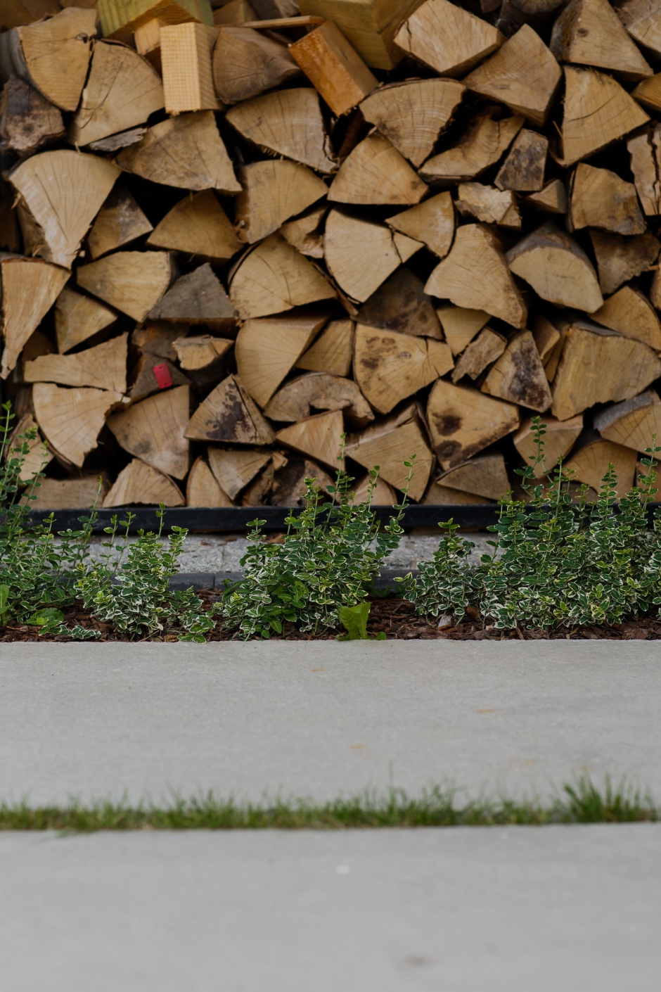 Ogród w Budziwoju 6