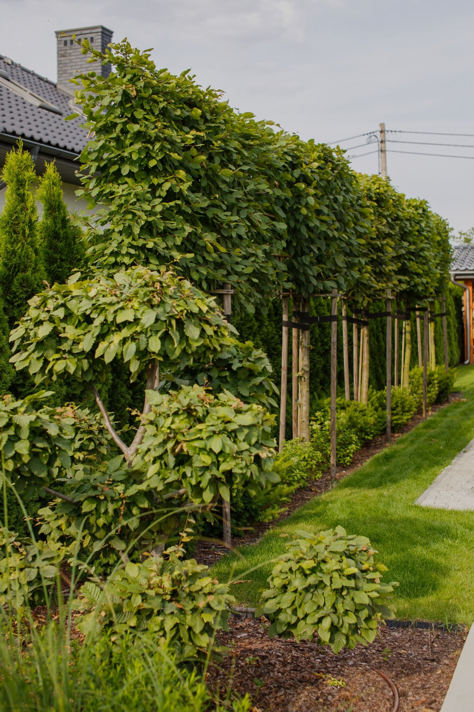 Ogród w Budziwoju 16