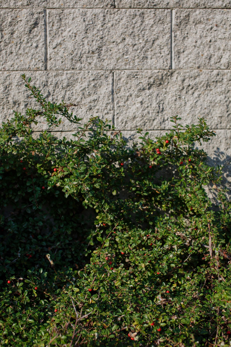 Osiedle Zielone Tarasy 3