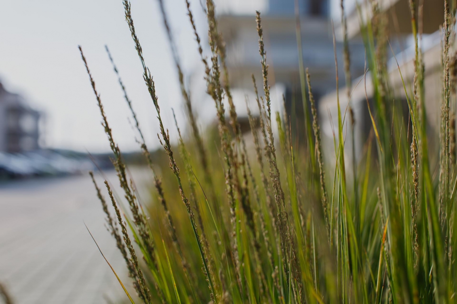 Osiedle Zielone Tarasy 4