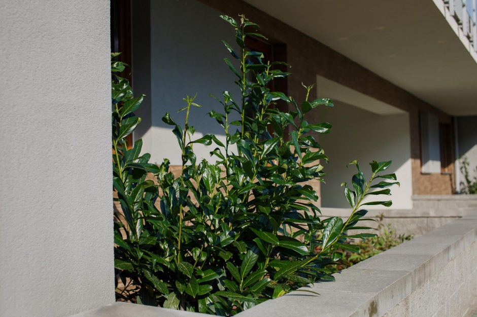 Osiedle Zielone Tarasy 7