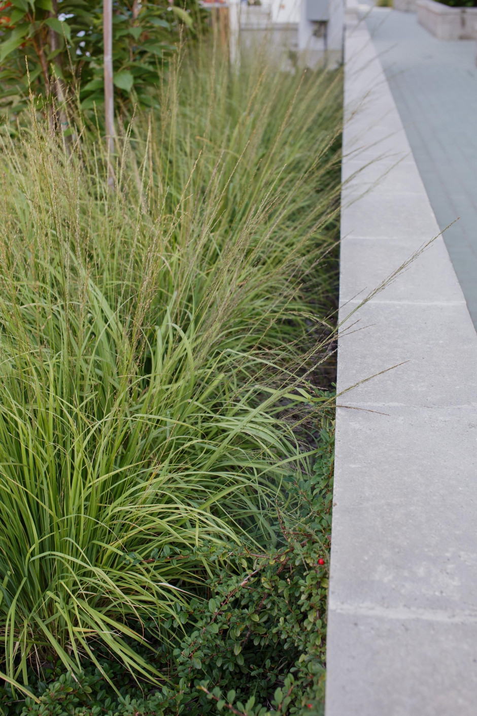 Osiedle Zielone Tarasy 8