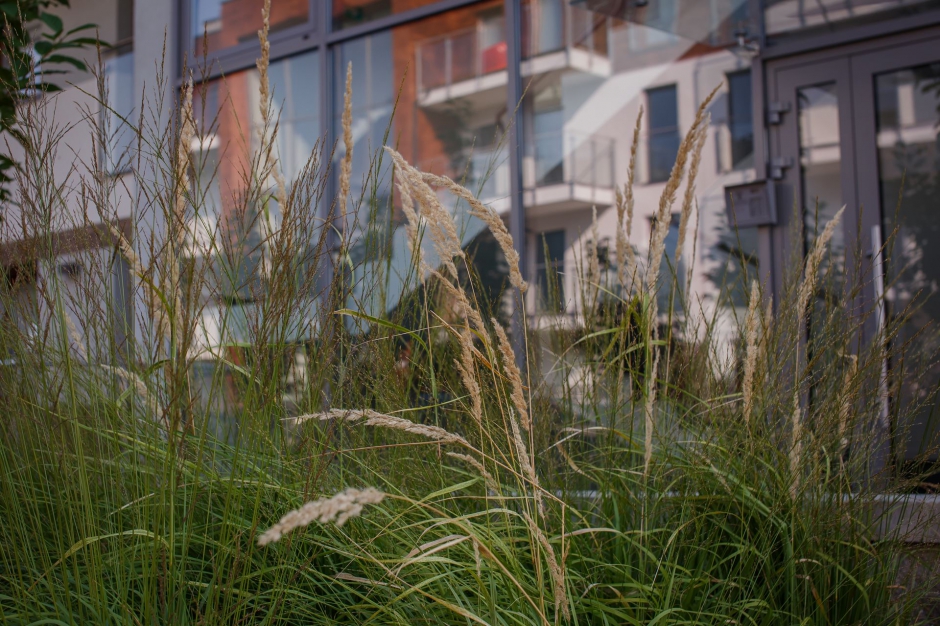 Osiedle Zielone Tarasy 6