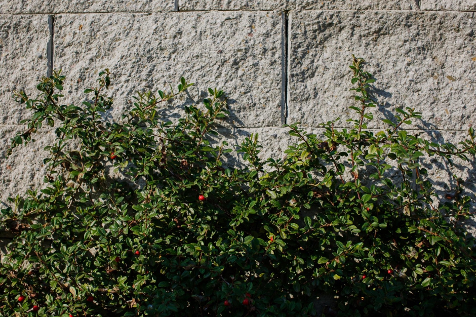 Osiedle Zielone Tarasy 15