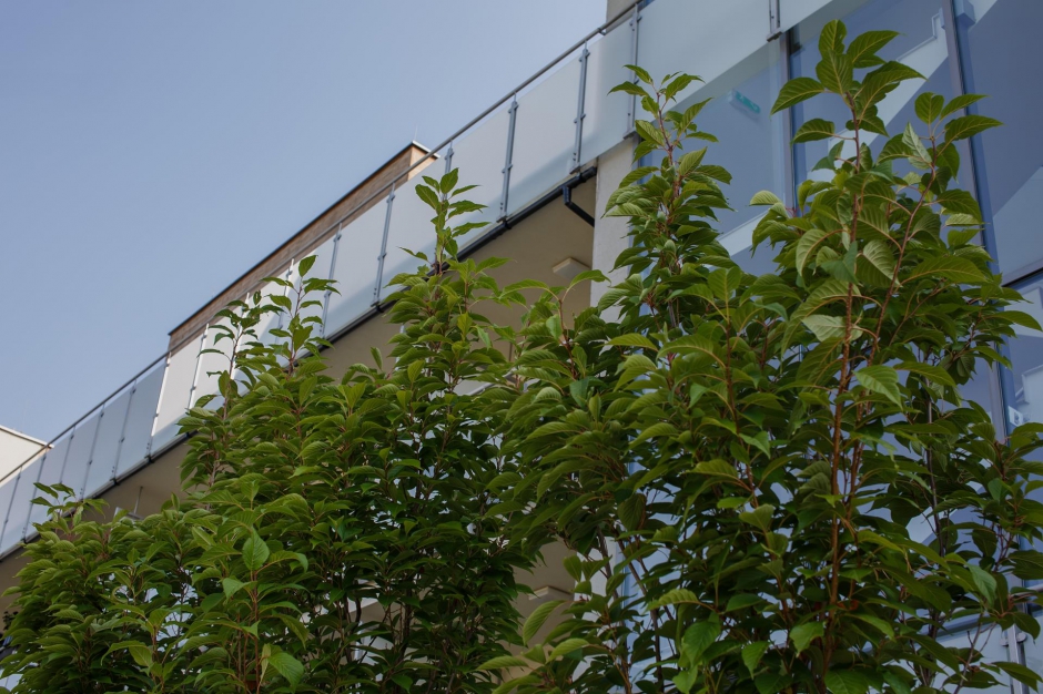 Osiedle Zielone Tarasy 14