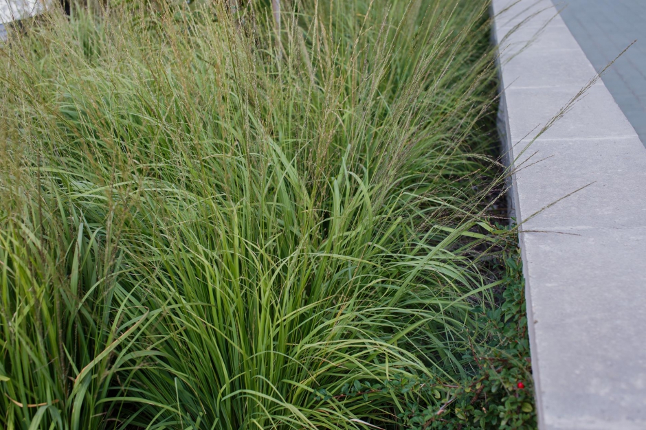 Osiedle Zielone Tarasy 16